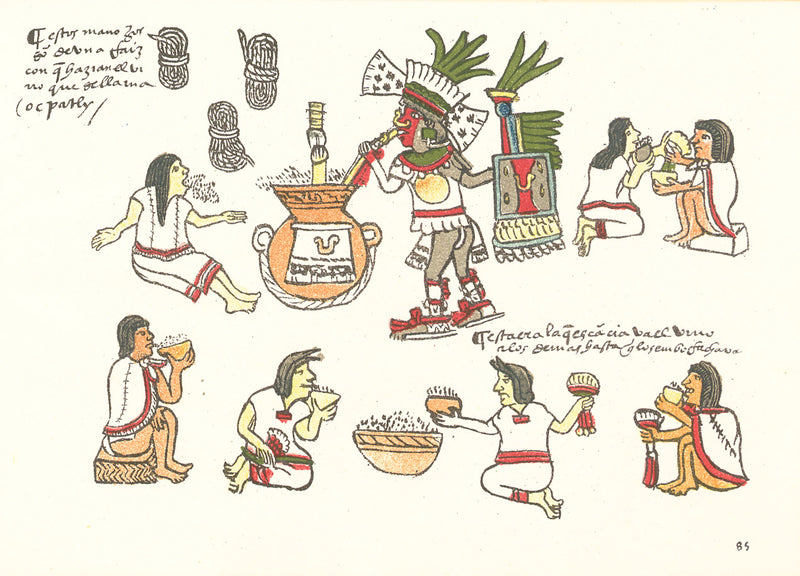 Eine der abgebildeten Personen aus dem Codex Magliabechiano erbricht sich, nachdem sie zu viel Pulque getrunken hat.