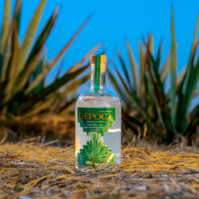 LÆPOCA Mezcal Cuishe | Von Mexiko in die Alpen | Handgefertigt | Joven & Artesanal | 500 ml & 46 % vol.