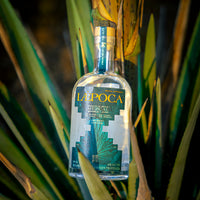LÆPOCA Mezcal Ensamble vor Agavenpflanze