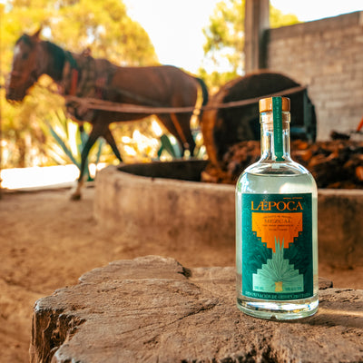 Mezcal of the Year 2023 & IWSC Prämiert | Von Mexiko in die Alpen | Handgefertigt | Espadín & Joven & Artesanal | 500 ml & 38 % vol.