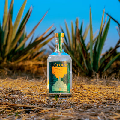 Mezcal of the Year 2023 & IWSC Prämiert | Von Mexiko in die Alpen | Handgefertigt | Espadín & Joven & Artesanal | 500 ml & 38 % vol.