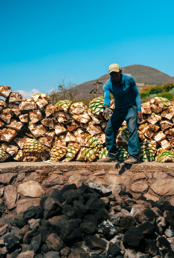 Der Wurm im Mezcal: Mythos, Wahrheit und der Tequila-Irrtum