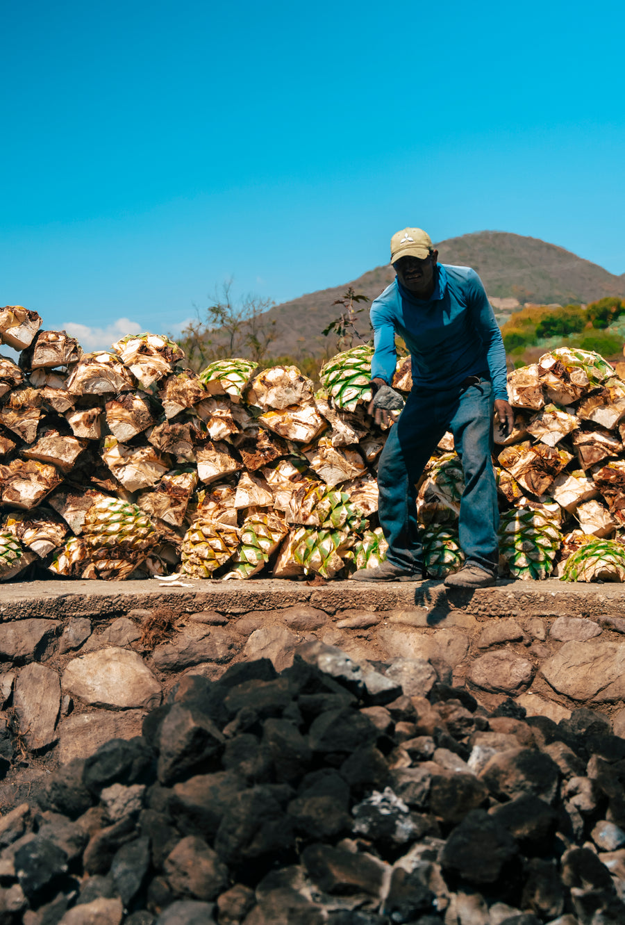 Der Wurm im Mezcal: Mythos, Wahrheit und der Tequila-Irrtum